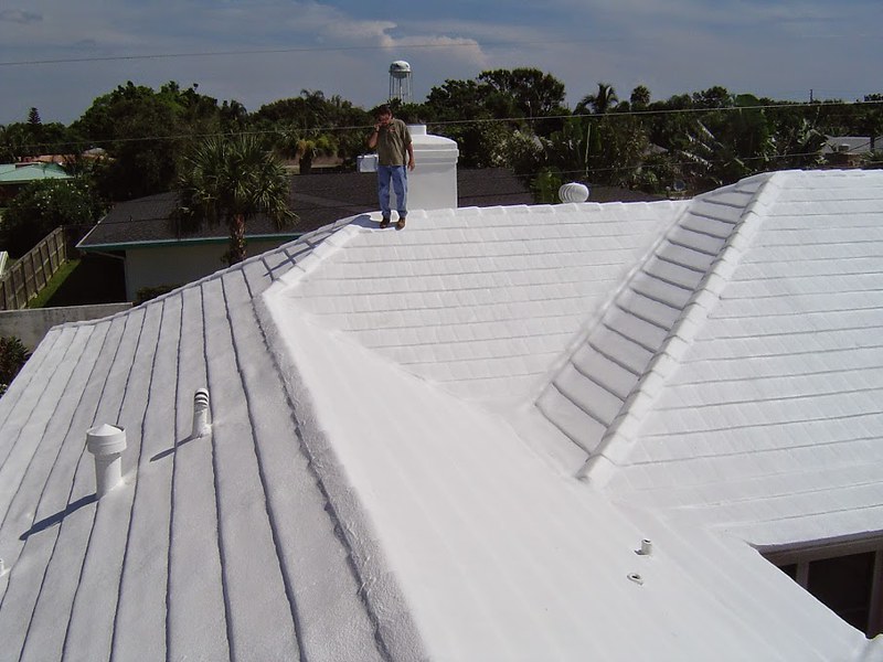 Can Roof Spraying Solution in South Auckland Prevent Termite Damage?